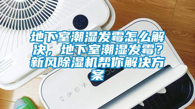 地下室潮濕發霉怎么解決，地下室潮濕發霉？新風除濕機幫你解決方案