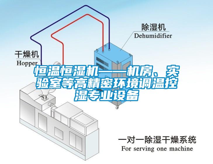 恒溫恒濕機——機房、實驗室等高精密環(huán)境調溫控濕專業(yè)設備