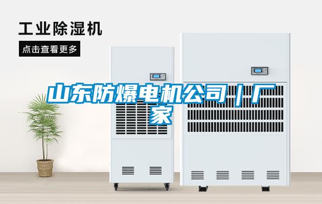 山東防爆電機公司｜廠家