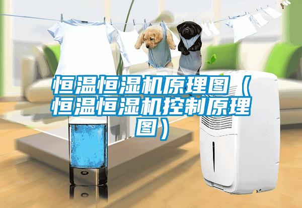 恒溫恒濕機原理圖（恒溫恒濕機控制原理圖）