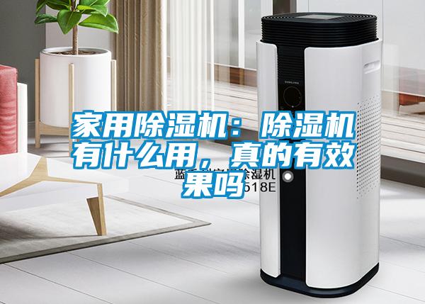 家用除濕機：除濕機有什么用，真的有效果嗎