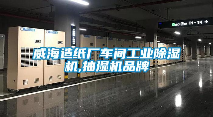 威海造紙廠車間工業除濕機,抽濕機品牌