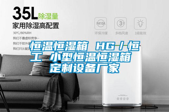 恒溫恒濕箱 HG／恒工 小型恒溫恒濕箱 定制設備廠家