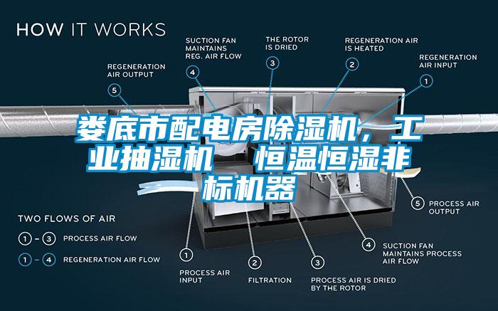 婁底市配電房除濕機，工業抽濕機  恒溫恒濕非標機器