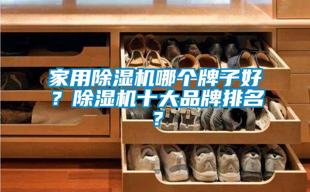 家用除濕機哪個牌子好？除濕機十大品牌排名？