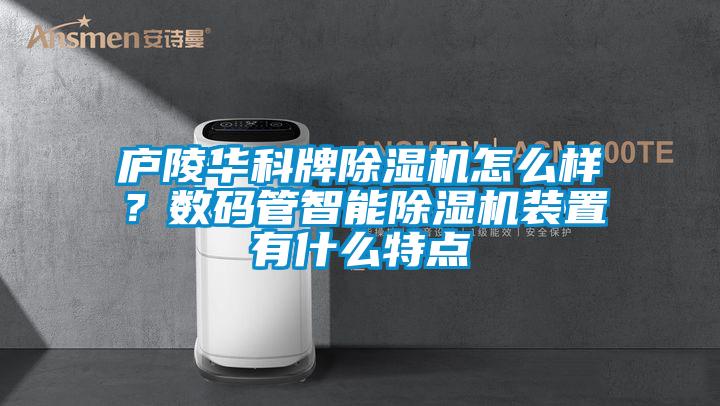 廬陵華科牌除濕機怎么樣？數碼管智能除濕機裝置有什么特點