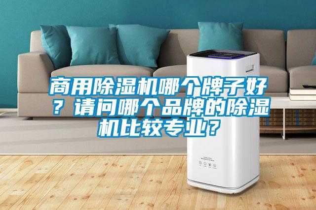 商用除濕機哪個牌子好？請問哪個品牌的除濕機比較專業？