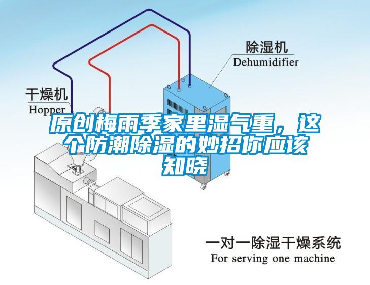 原創梅雨季家里濕氣重，這個防潮除濕的妙招你應該知曉