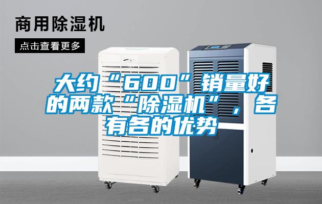 大約“600”銷量好的兩款“除濕機”，各有各的優勢