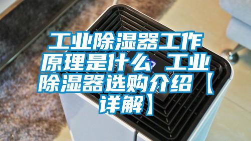 工業除濕器工作原理是什么 工業除濕器選購介紹【詳解】