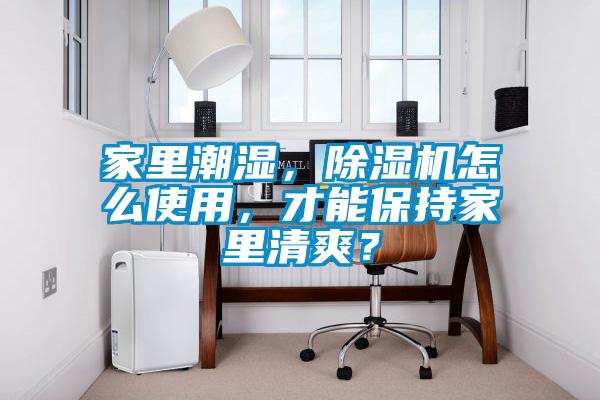 家里潮濕，除濕機怎么使用，才能保持家里清爽？