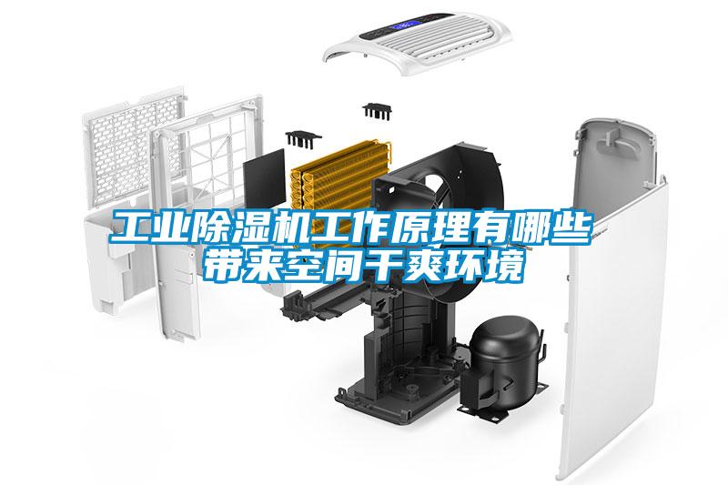 工業除濕機工作原理有哪些 帶來空間干爽環境