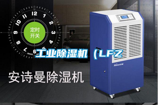 工業除濕機（LFZ