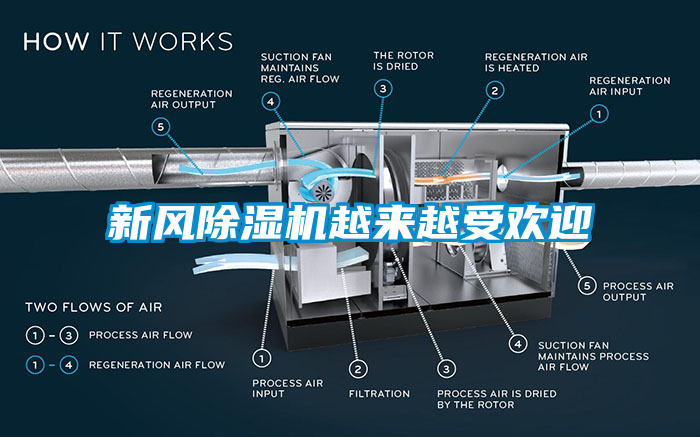 新風除濕機越來越受歡迎