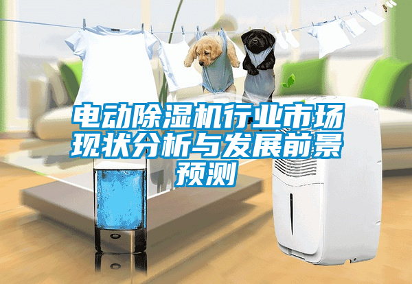 電動除濕機行業市場現狀分析與發展前景預測