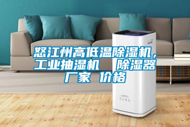 怒江州高低溫除濕機，工業抽濕機  除濕器廠家 價格