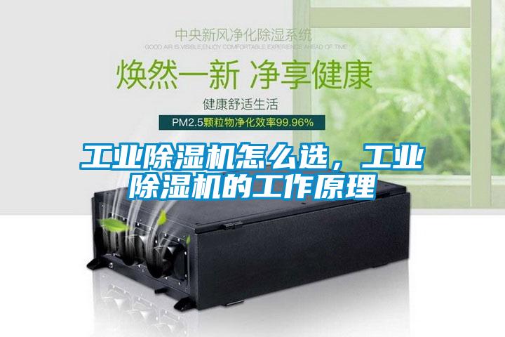 工業除濕機怎么選，工業除濕機的工作原理