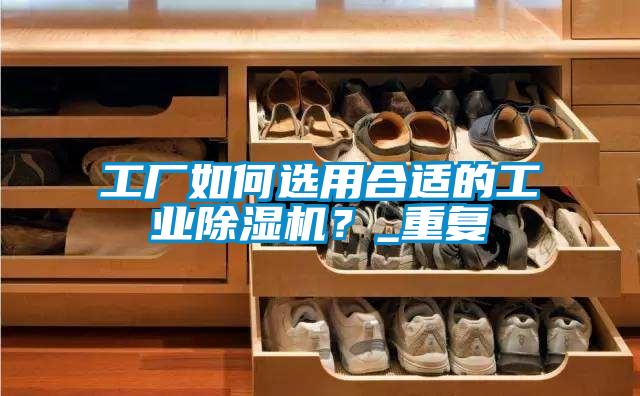 工廠如何選用合適的工業除濕機？_重復