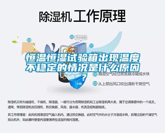 恒溫恒濕試驗箱出現溫度不穩定的情況是什么原因？