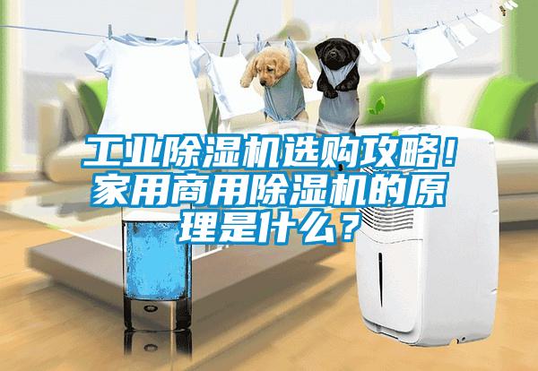 工業除濕機選購攻略！家用商用除濕機的原理是什么？