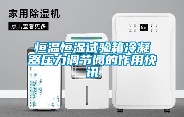 恒溫恒濕試驗箱冷凝器壓力調節閥的作用快訊