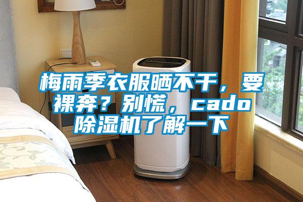 梅雨季衣服曬不干，要裸奔？別慌，cado除濕機了解一下