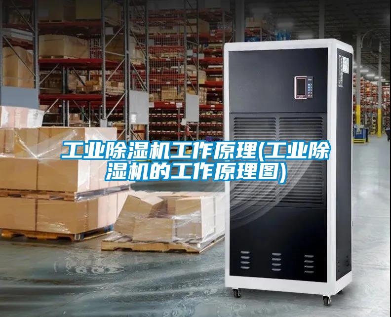 工業除濕機工作原理(工業除濕機的工作原理圖)