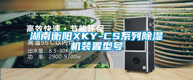 湖南衡陽XKY-CS系列除濕機裝置型號