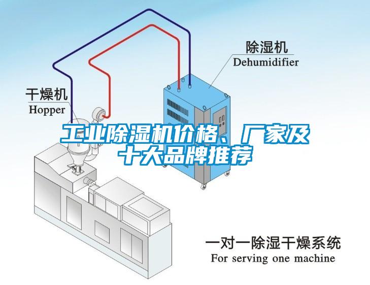 工業(yè)除濕機(jī)價(jià)格、廠家及十大品牌推薦