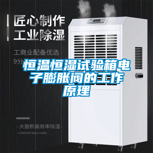 恒溫恒濕試驗箱電子膨脹閥的工作原理