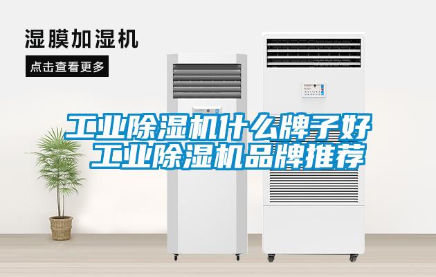 工業除濕機什么牌子好 工業除濕機品牌推薦