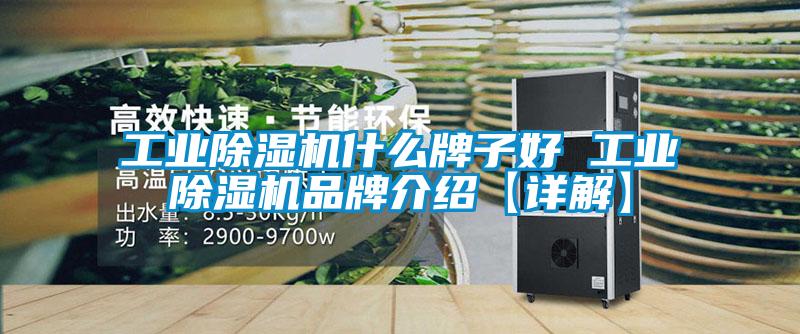 工業除濕機什么牌子好 工業除濕機品牌介紹【詳解】