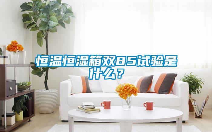 恒溫恒濕箱雙85試驗是什么？