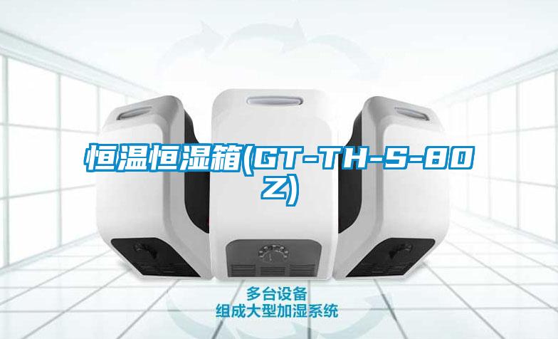 恒溫恒濕箱(GT-TH-S-80Z)