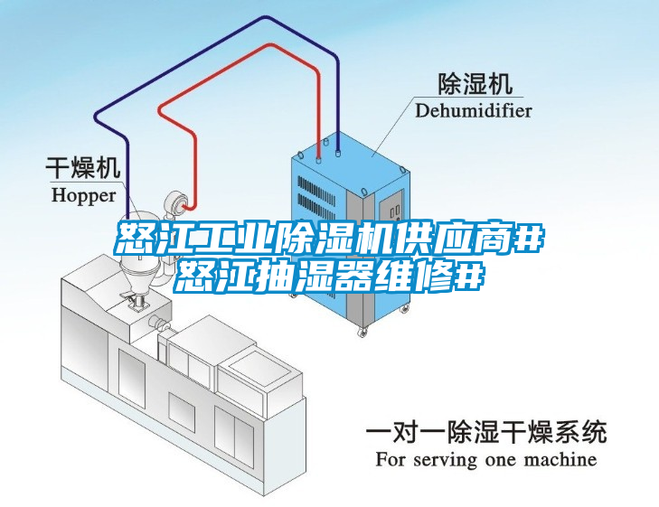 怒江工業除濕機供應商#怒江抽濕器維修#