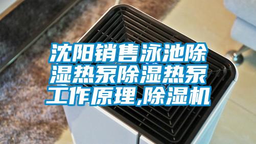 沈陽銷售泳池除濕熱泵除濕熱泵工作原理,除濕機