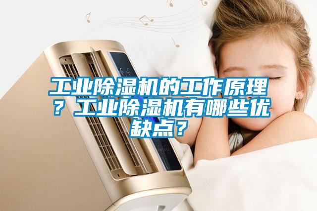 工業除濕機的工作原理？工業除濕機有哪些優缺點？