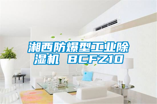 湘西防爆型工業除濕機 BCFZ10