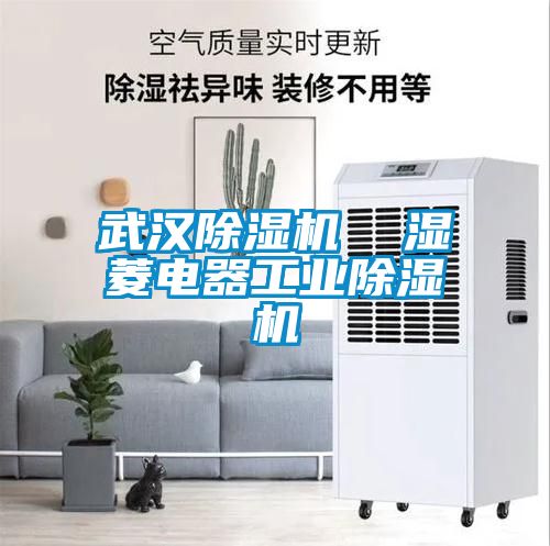 武漢除濕機(jī)  濕菱電器工業(yè)除濕機(jī)