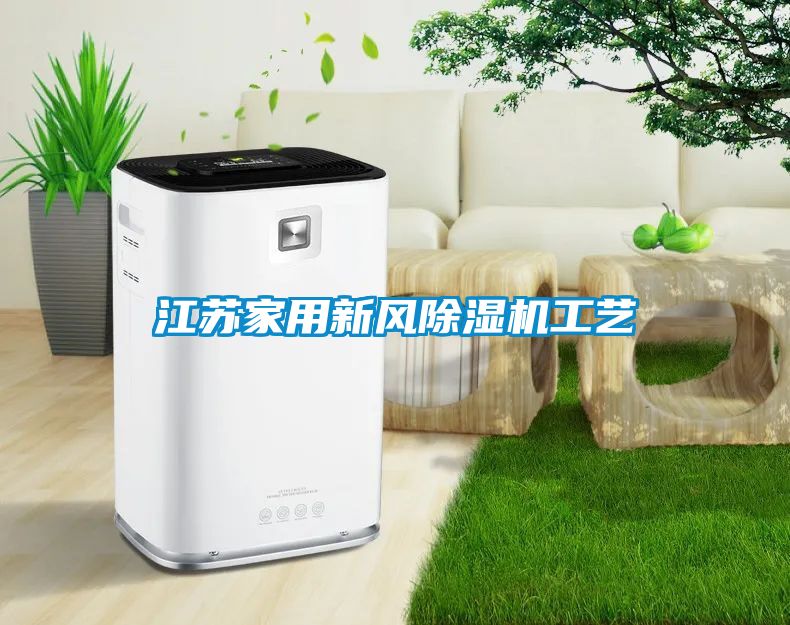 江蘇家用新風除濕機工藝