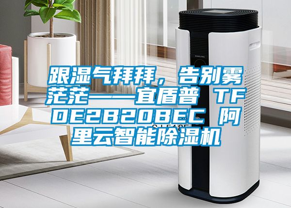 跟濕氣拜拜，告別霧茫茫——宜盾普 TFDE2B20BEC 阿里云智能除濕機