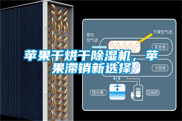 蘋果干烘干除濕機，蘋果滯銷新選擇