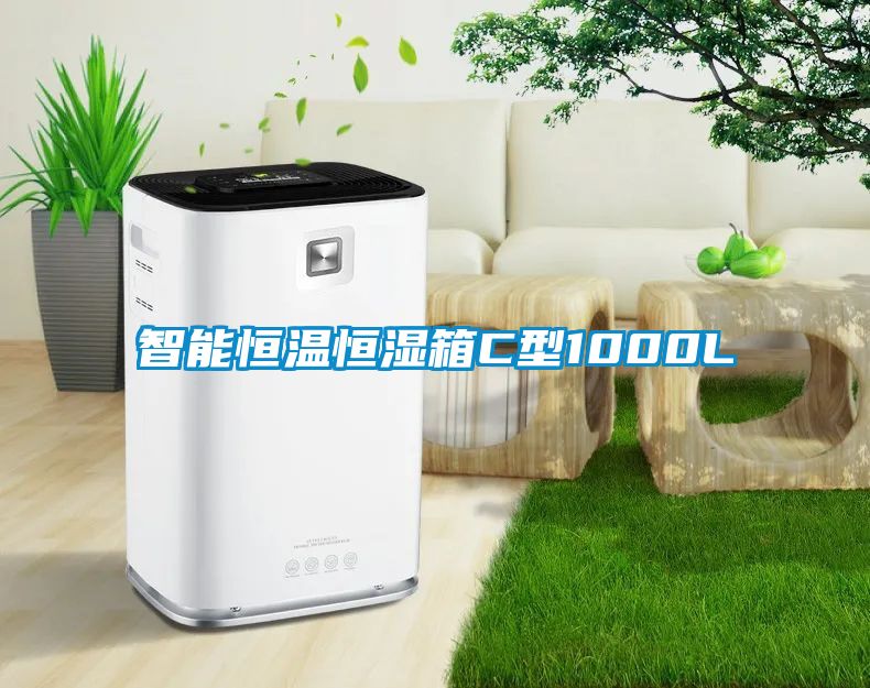 智能恒溫恒濕箱C型1000L