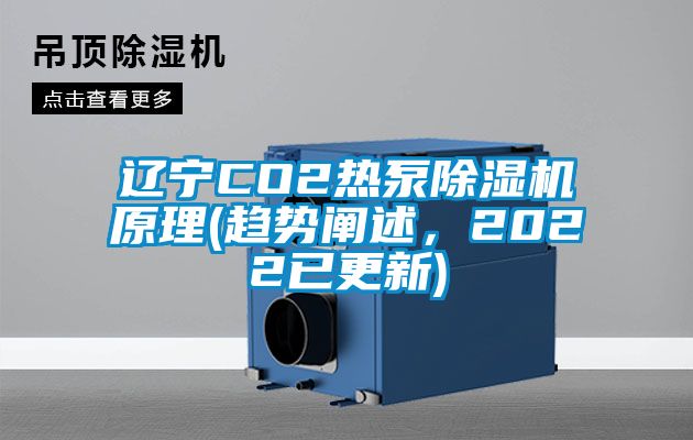 遼寧CO2熱泵除濕機原理(趨勢闡述，2022已更新)