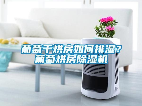 葡萄干烘房如何排濕？葡萄烘房除濕機