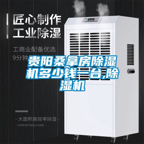 貴陽桑拿房除濕機多少錢一臺,除濕機