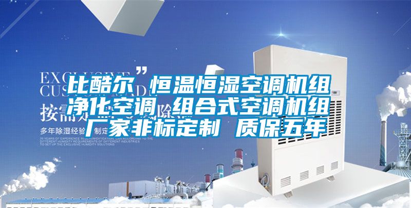 比酷爾 恒溫恒濕空調機組 凈化空調 組合式空調機組 廠家非標定制 質保五年