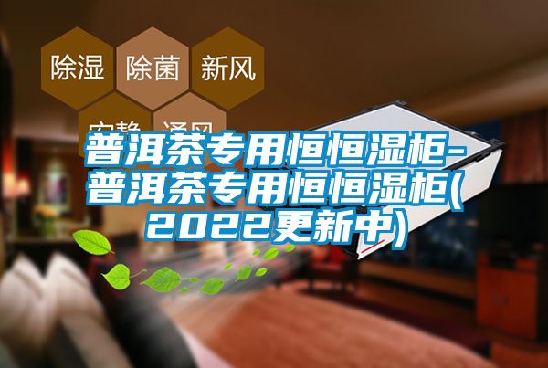 普洱茶專用恒恒濕柜-普洱茶專用恒恒濕柜(2022更新中)