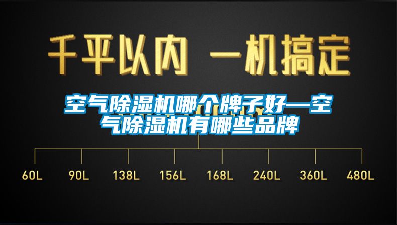 空氣除濕機哪個牌子好—空氣除濕機有哪些品牌