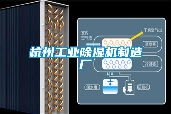 杭州工業除濕機制造廠